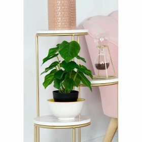 Pianta Decorativa DKD Home Decor PVC polipropilene 20 x 20 x 30 cm
