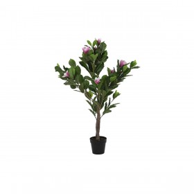 Pianta Decorativa DKD Home Decor Rosa Verde PE (60 x 60 x 125 cm)