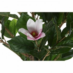 Pianta Decorativa DKD Home Decor Rosa Verde PE (60 x 60 x 125 cm)