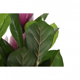 Pianta Decorativa DKD Home Decor Rosa Verde PE (60 x 60 x 125 cm)
