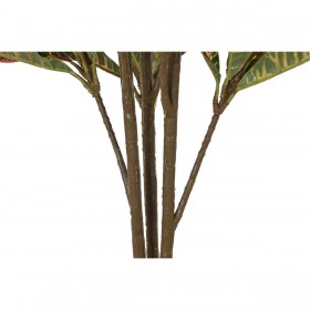 Pianta Decorativa DKD Home Decor Marrone Polietilene Verde 50 x 50 x 140 cm