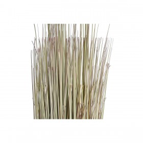 Pianta Decorativa DKD Home Decor 25 x 25 x 68 cm Marrone Polietilene Verde (2 Unità)