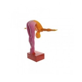 Statua Decorativa Home ESPRIT Multicolore 55 x 17 x 45 cm
