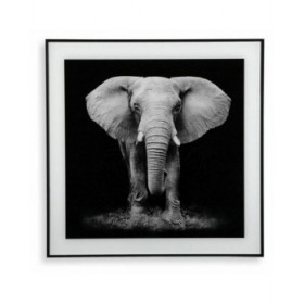 Quadro Versa S3403596 (2 x 50 x 50 cm)