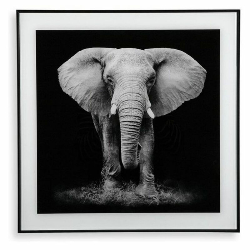 Quadro Versa S3403596 (2 x 50 x 50 cm)