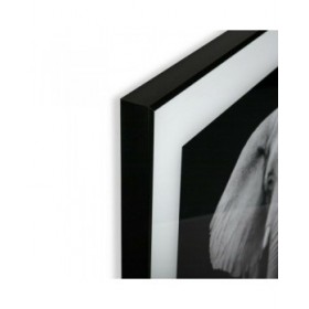 Quadro Versa S3403596 (2 x 50 x 50 cm)