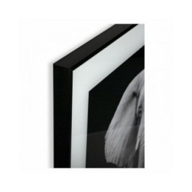 Quadro Versa S3403596 (2 x 50 x 50 cm)