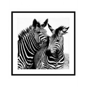Quadro Zebra Vetro (2 x 50 x 50 cm)