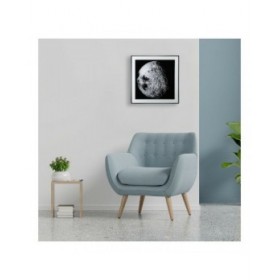 Quadro Versa VS-20231309 Cristallo (2 x 50 x 50 cm)