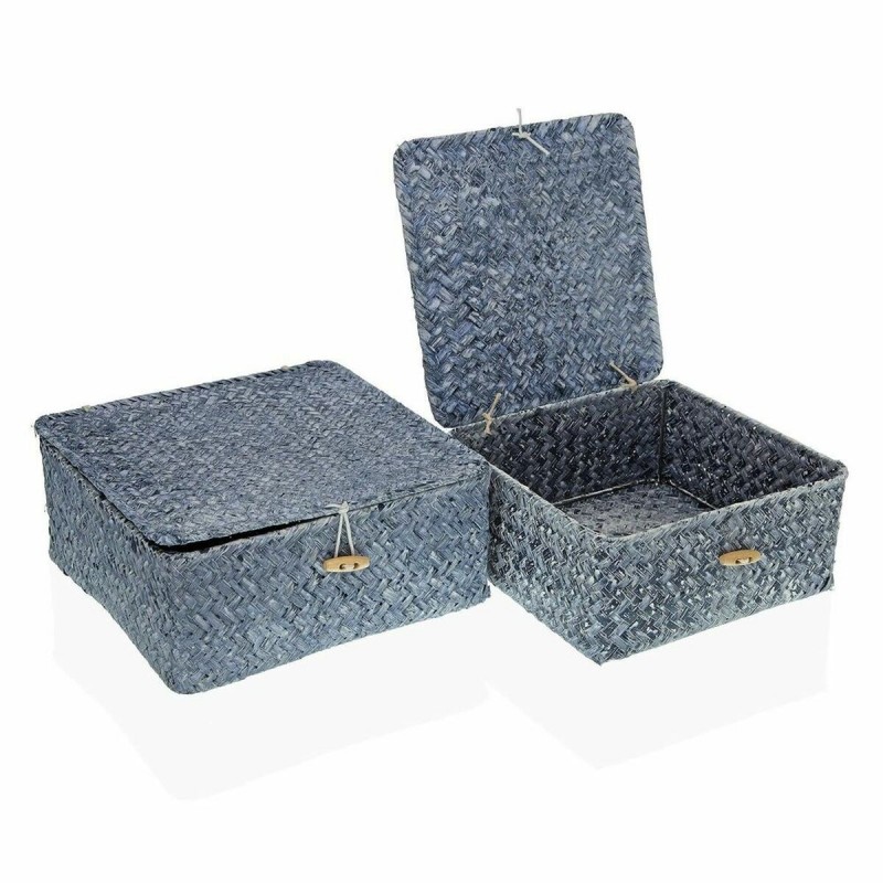 Cestino Multiuso Versa Azzurro Alghe marine 23 x 10 x 23 cm 20 x 20 x 9 cm Con coperchio (2 Unità)