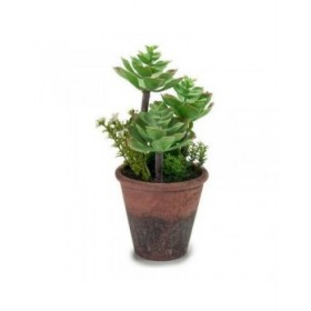 Pianta Decorativa Ibergarden XD16-849 Plastica