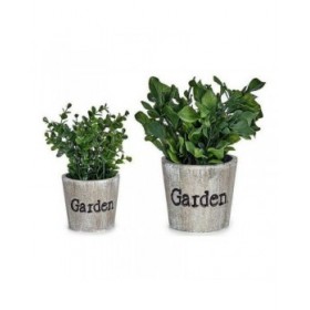 Pianta Decorativa Ibergarden XD16-710 Plastica 16 x 22 x 16 cm