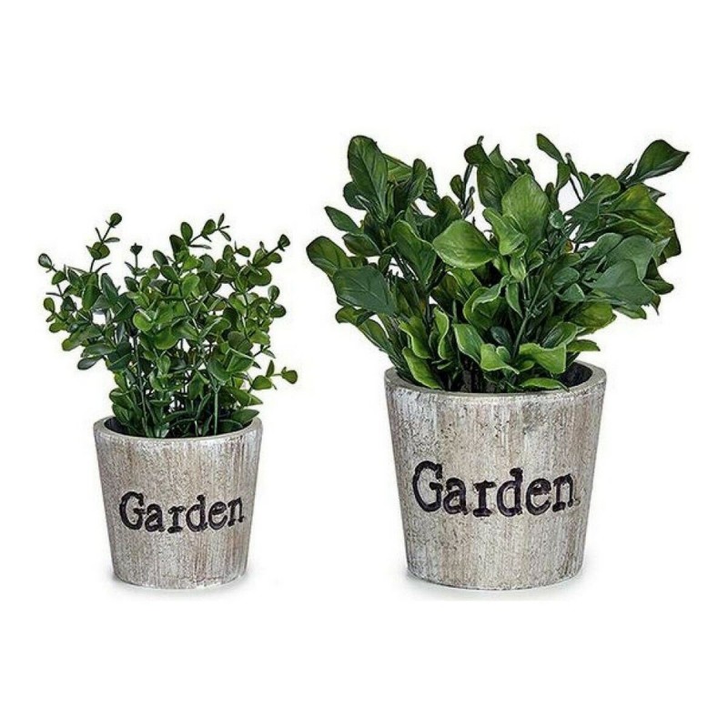 Pianta Decorativa Ibergarden XD16-710 Plastica 16 x 22 x 16 cm