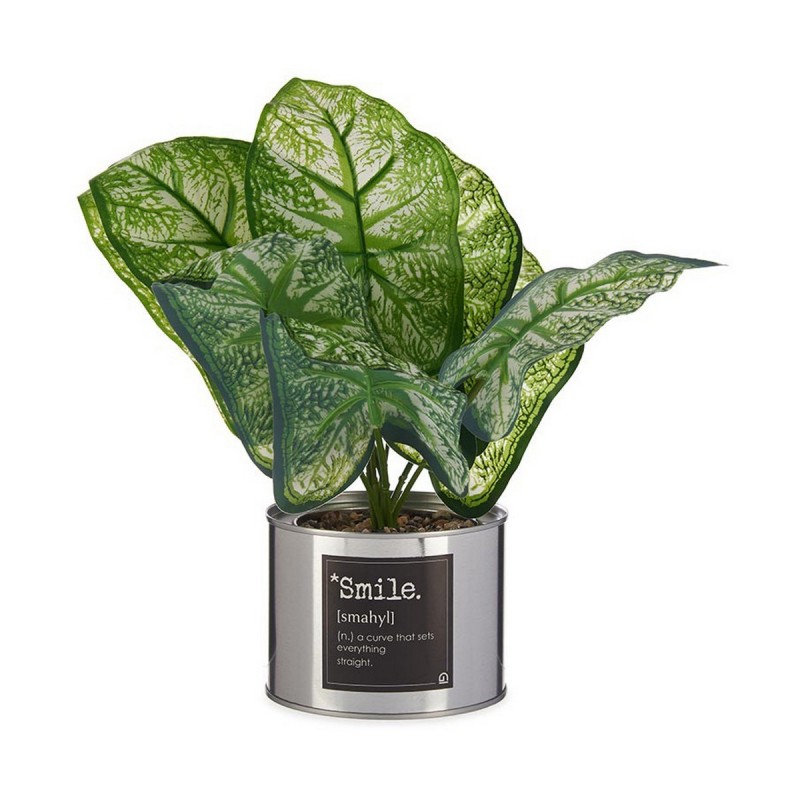 Pianta Decorativa Ibergarden Smile Metallo Plastica Lattina 26 x 26 x 26 cm Argentato