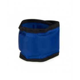 Collare per Cani Refrigerante Nero Azzurro