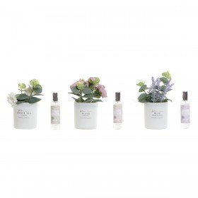 Deodorante per Ambienti DKD Home Decor Shabby Chic (3 Unità) (2 Unità)