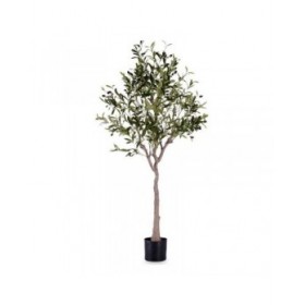 Pianta Decorativa Ibergarden BRS-ADK102 Plastica Filo di ferro Ulivo 73 x 120 x 73 cm