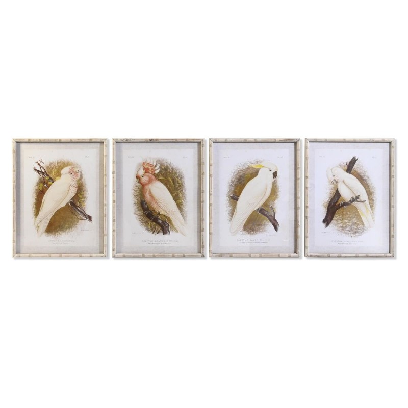 Tela DKD Home Decor 50 x 2,8 x 65 cm 50 x 65 x 2.8 cm Pappagallo Cottage (4 Pezzi)