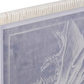 Quadro DKD Home Decor Cristallo Conchiglia 50 x 2 x 60 cm 50 x 60 x 2,5 cm (4 Pezzi)