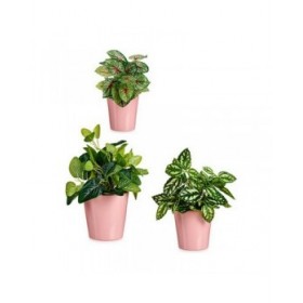 Set di Vasi Ibergarden LINCE PQ - 3015 Rosa Argilla (6 Unità)