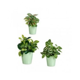 Set di Vasi Ibergarden LINCE PQ - 6019 Verde Argilla (6 Unità)