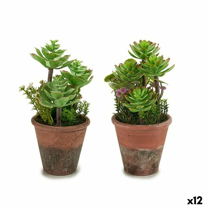 Pianta Decorativa Ibergarden XD16-849 Plastica Succulenta 16 x 23 x 16 cm (12 Unità)