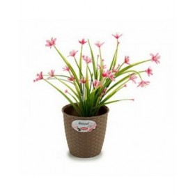 Vaso Stefanplast Marrone Plastica 14 x 13 x 14 cm (12 Unità)