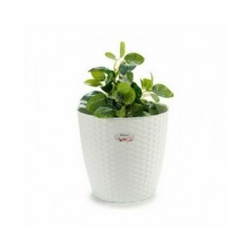 Vaso Stefanplast Bianco Plastica 29 x 27 x 29 cm (6 Unità)