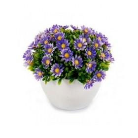 Pianta Decorativa Ibergarden S17-L048 Plastica Margarita 14 x 13 x 14 cm (12 Unità)