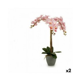 Pianta Decorativa Ibergarden A18124-71-3 Plastica Orchidea 29 x 78 x 35 cm 60 x 78 x 44 cm (2 Unità)