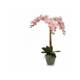 Pianta Decorativa Ibergarden A18124-71-3 Plastica Orchidea 29 x 78 x 35 cm 60 x 78 x 44 cm (2 Unità)