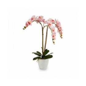 Pianta Decorativa Ibergarden A18124-71-3WH Plastica Orchidea 40 x 77 x 35 cm (2 Unità)