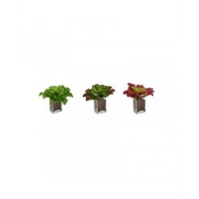 Pianta Decorativa Ibergarden YD180208 Plastica Fogli Grande 31 x 24 x 31 cm Bicolore (6 Unità)
