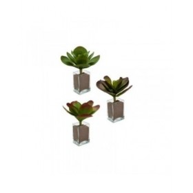 Pianta Decorativa Ibergarden YD0001 Plastica Fogli Grande 27 x 29 x 27 cm Bicolore (6 Unità)