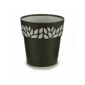 Vaso Autoirrigante Stefanplast Cloe Antracite Plastica 19 x 19 x 19 cm (12 Unità)