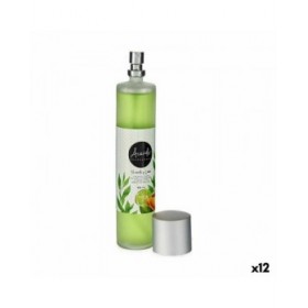 Diffusore Spray Per Ambienti Tè Verde 100 ml (12 Unità)