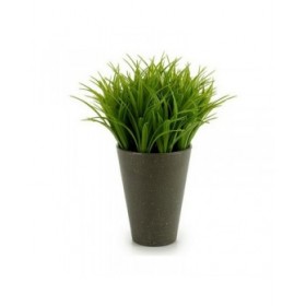 Pianta Decorativa Ibergarden S18064 Plastica 11 x 18 x 11 cm (12 Unità)