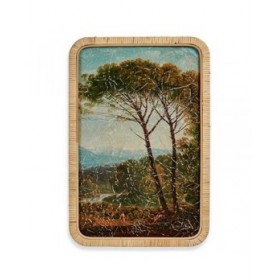 Tela Albero 2 x 60 x 40 cm (6 Unità)
