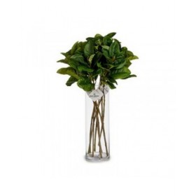Ramo Ibergarden YD130615 Verde Plastica 80 cm Fogli (12 Unità)