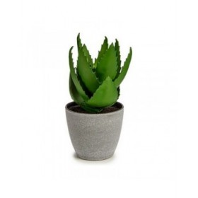Pianta Decorativa Ibergarden YC184573 Plastica Aloe Vera 15 x 23,5 x 15 cm (6 Unità)