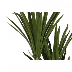 Pianta Decorativa DKD Home Decor (80 x 80 x 180 cm)