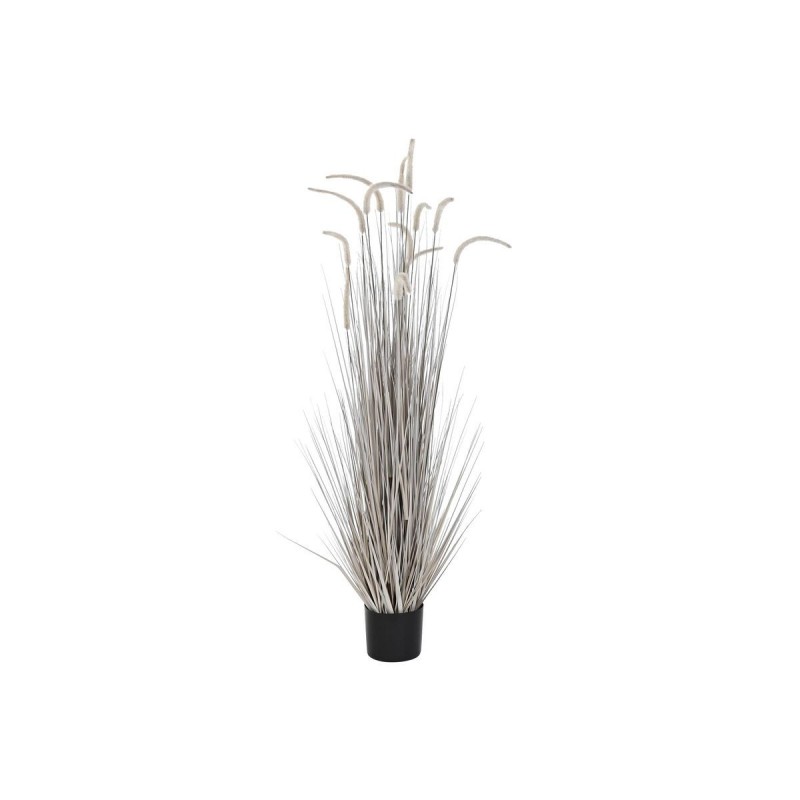 Pianta Decorativa DKD Home Decor Grigio chiaro (45 x 45 x 150 cm)