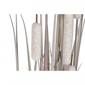 Pianta Decorativa DKD Home Decor Juncus (45 x 45 x 150 cm)