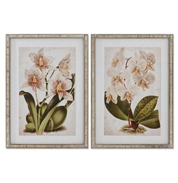 Lampada da tavolo DKD Home Decor 36 x 21,5 x 43 cm Argentato Beige Metallo Resina 220 V 50 W