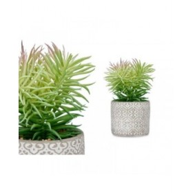 Pianta Decorativa Ibergarden QY-H011 Legno Plastica Cemento Succulenta 12 x 22 x 12 cm (8 Unità)